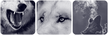 Wolves deco divider by Martith Wolves deco divider by Martith