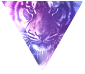 Triangle decor - Tiger