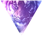 Triangle decor - Tiger