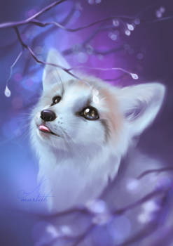 Cool candy - Foxtober 2018