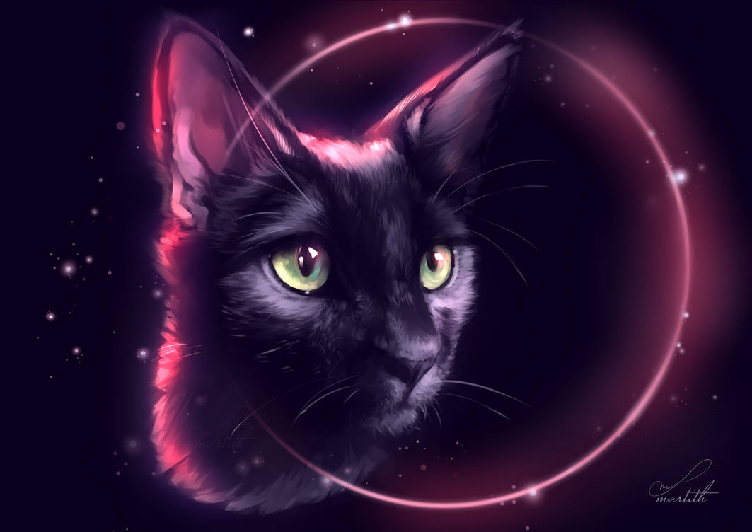 Аватар черный кот. Кошка арт. Фэнтези кошки. Чёрный кот арт. Красивая кошка арт.