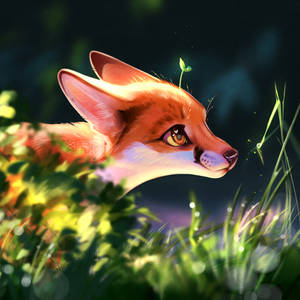Serenity