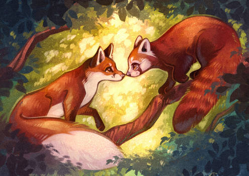 Fox and Panda