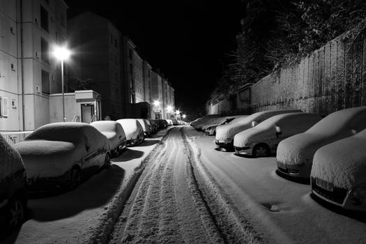 Snow in Rijeka