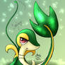 Pokemon - Snivy