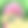 MLP FIM - NSFW Fluttershy Livestream