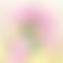 MLP FIM - NSFW Anthro Fluttershy Livestream