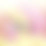 MLP FIM - NSFW Heavenly Fluttershy Livestream