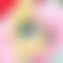 MLP FIM - NSFW Fluttershy Christmas 2015