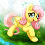MLP FIM - Fluttershy's Day 2017
