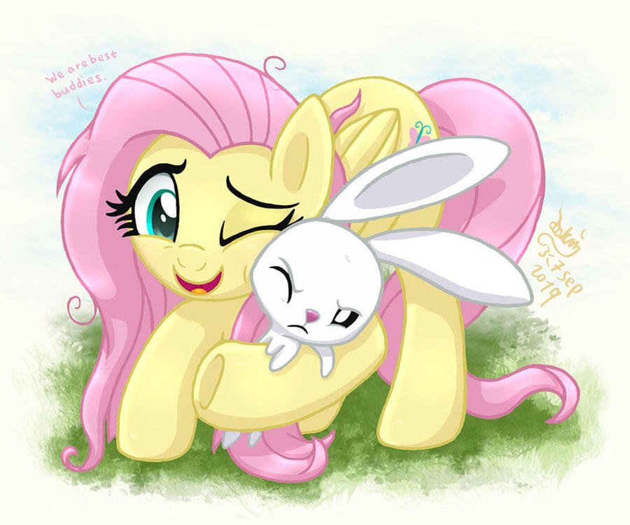 MLP FIM - Fluttershy And Angel Best Friends by Joakaha on DeviantArt