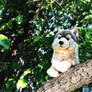 webkinz signature timber wolf 2