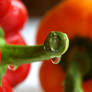 Water Drops and Peppers