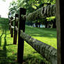 Split Rail Fence