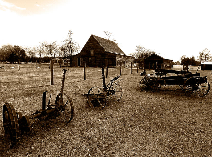 Georgia Farm