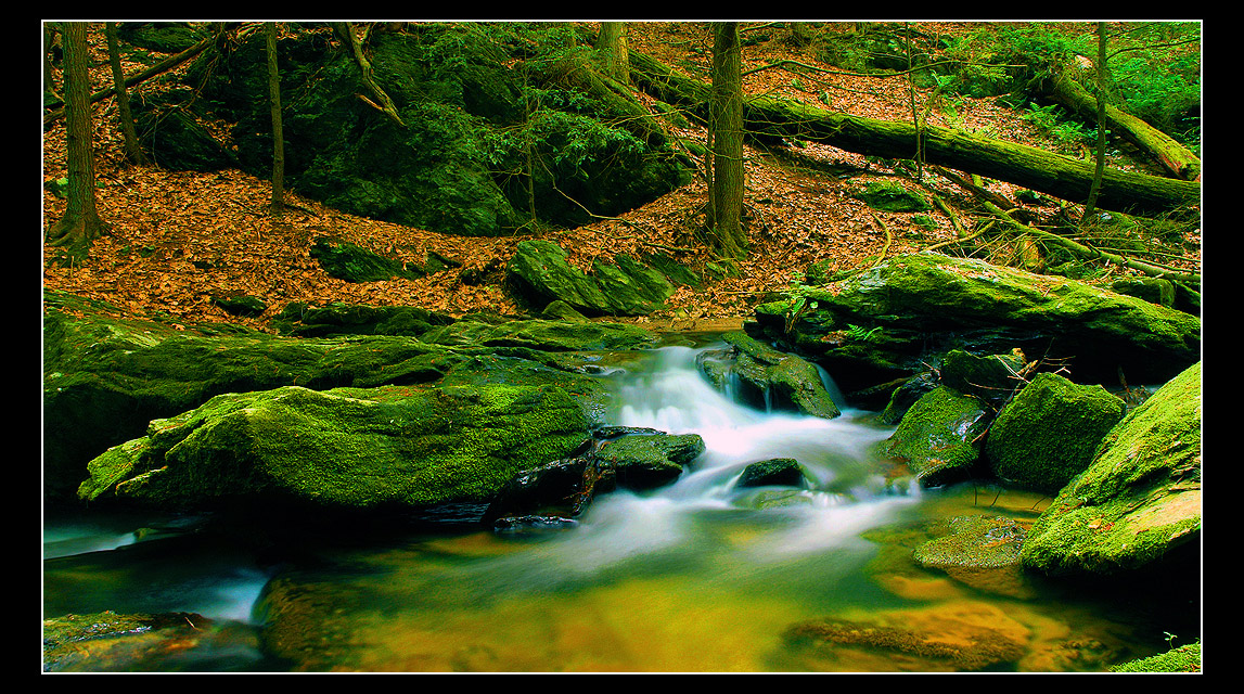 A River Of Silk