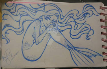 Random Mermaid