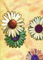 Triple Daisies