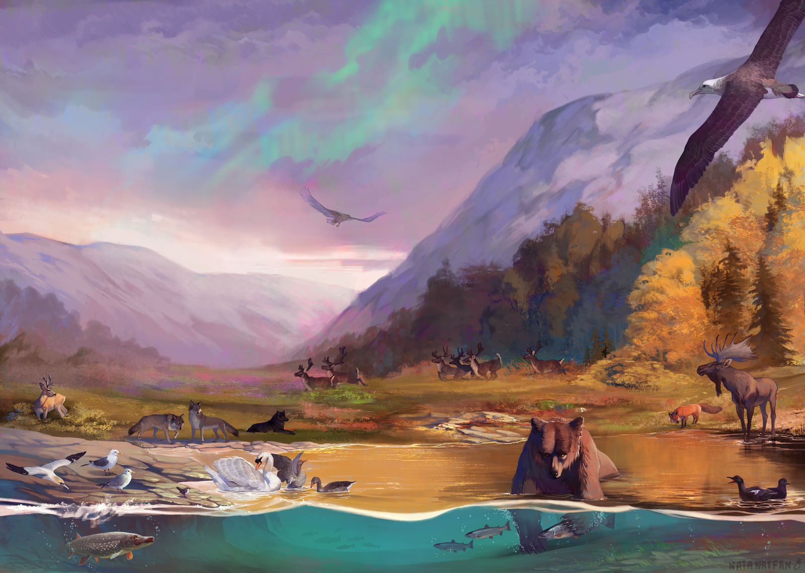 Animals of Scandinavia by NATAnatfan on DeviantArt