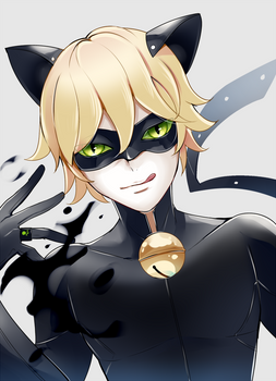 Chat Noir