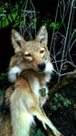 Coyote Headdress by AdarkerNEMISIS