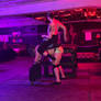 Ponyplay Untitled