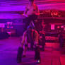 Pony practice Ponyplay Untitled