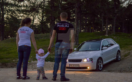 Audi A3 family