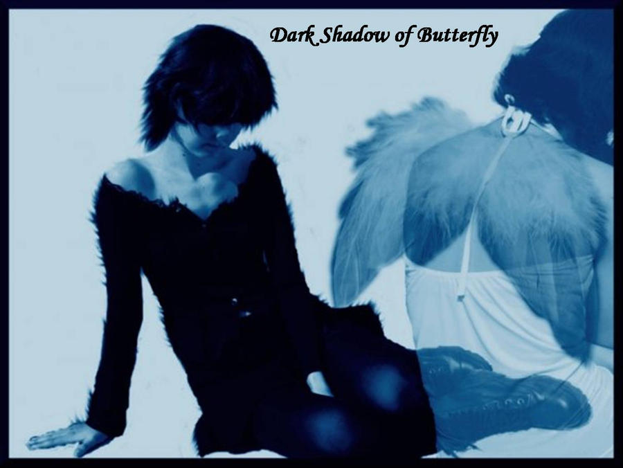 Dark Shadow of Butterfly