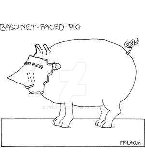 Bascinet Faced Pig