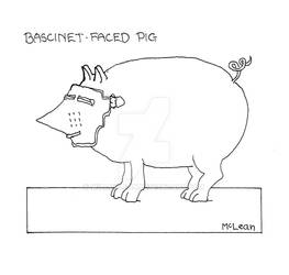 Bascinet-Faced Pig
