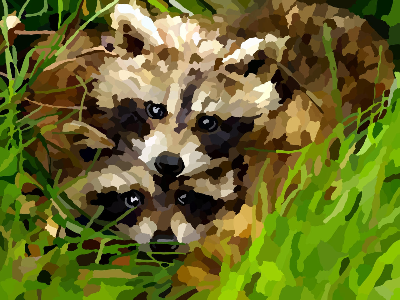 Raccoons by Livitup03 on DeviantArt