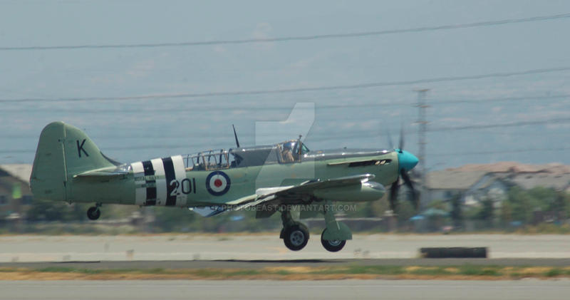Firefly Take Off by Photobeast on DeviantArt