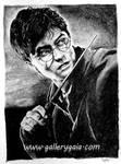 Harry Potter by GalleryGaia