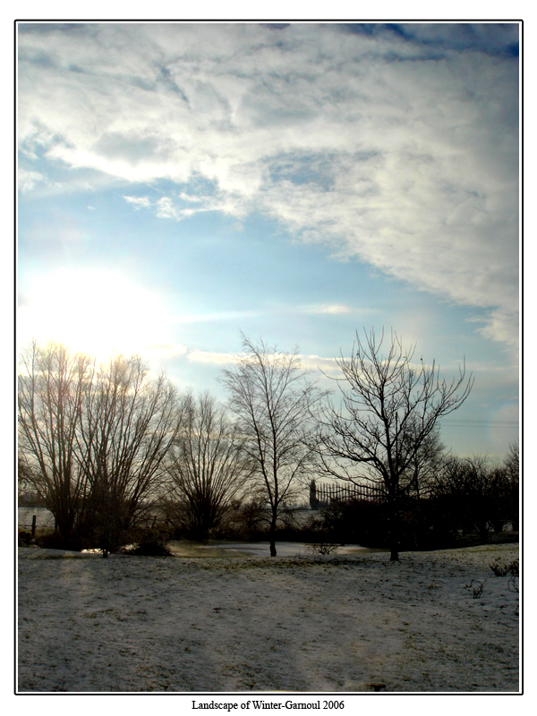 Landscape of Winter