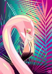 Flamingo