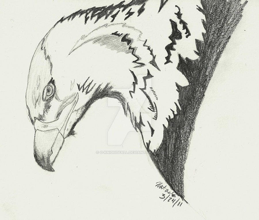 Alt Rapter Drawing Raptor by G-KnightFall on DeviantArt