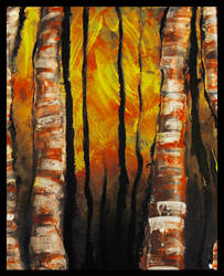 Birch Forest