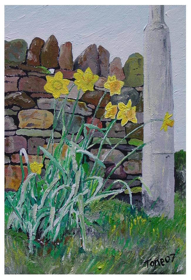 daffodils