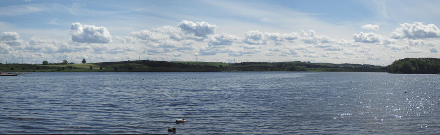 Lochore Meadows