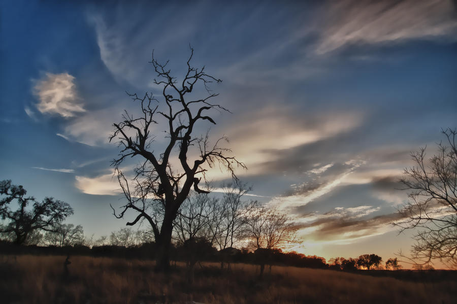 Sunset over Canyon Lake