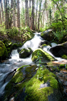 Falls along the Boulder Brook Trail