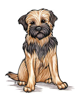 Stanley Border Terrier Commish