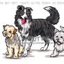 Three Dog Commission