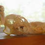 Baby Rabbit And Weasel Skulls