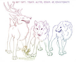 Three Canine Character Sketch