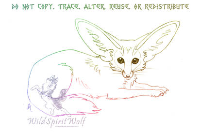 Fennec Fox Sketch