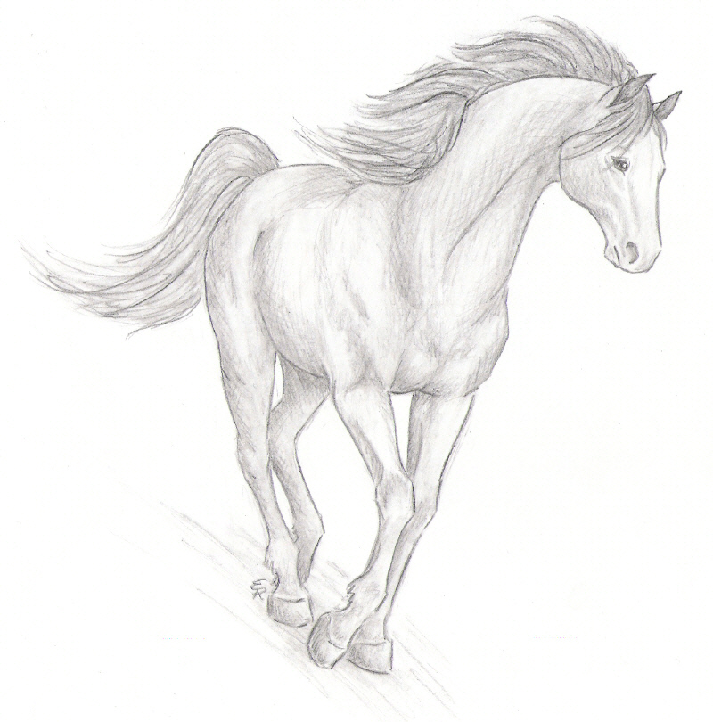 how to draw a realistic horse