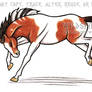 Soldier Pinto Horse Trade Pic