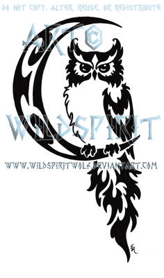 Celestial Owl And Moon Tribal Design